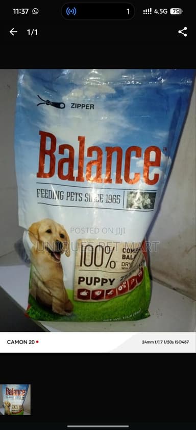 Balance puppy