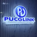 Pucglink Computers